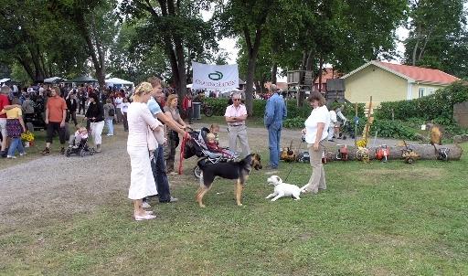 Besokare 2005_11.jpg